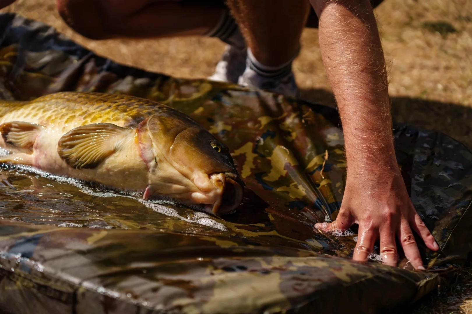 Nash Carp Care Flat Mat Camo
